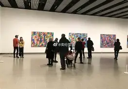 维莱莉·法瑞斯 维莱莉·法瑞斯